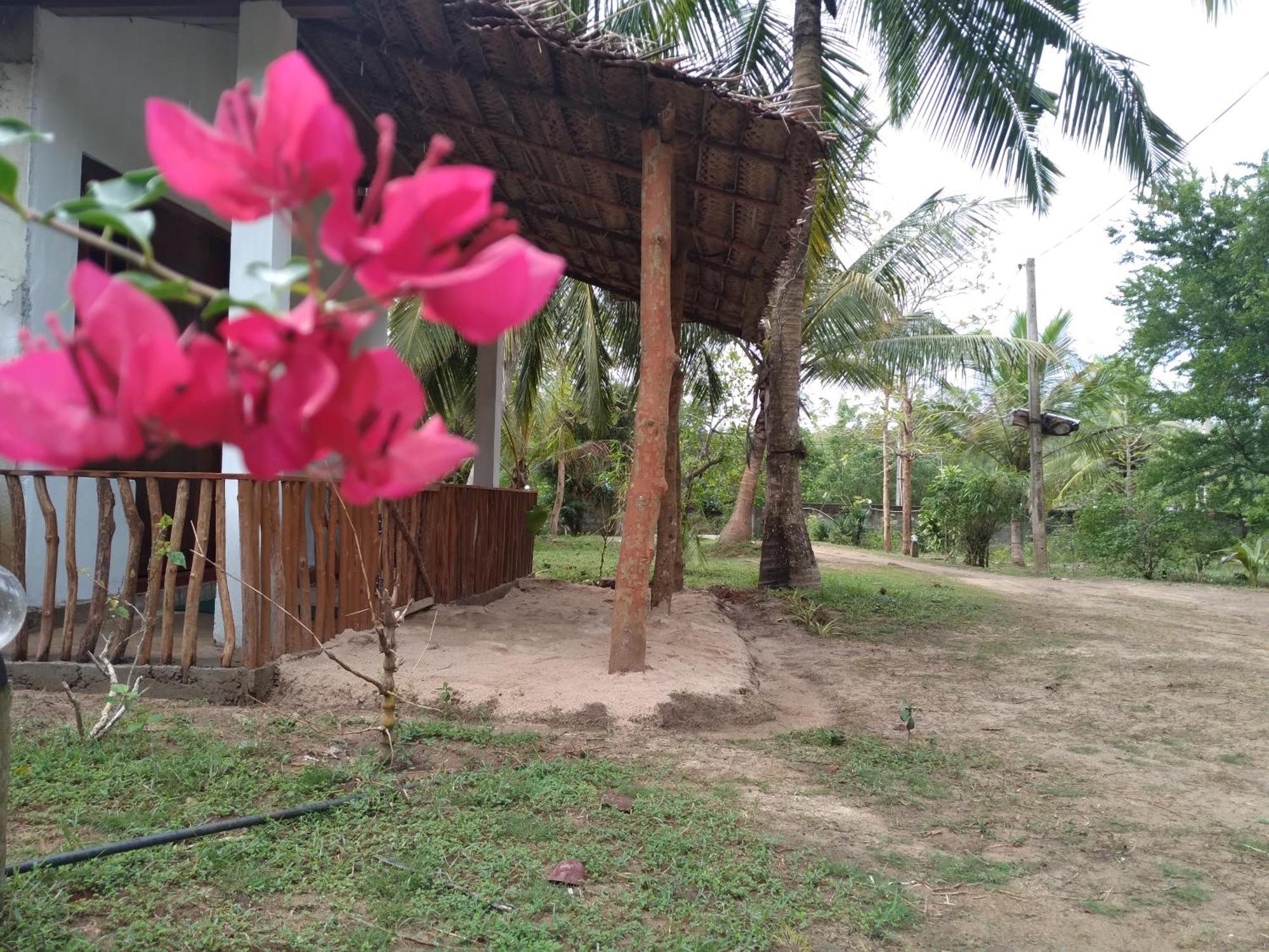 Soma HomeStay&Restaurant Tangalle Bagian luar foto