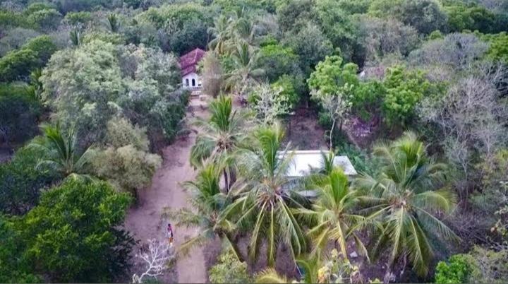 Soma HomeStay&Restaurant Tangalle Bagian luar foto