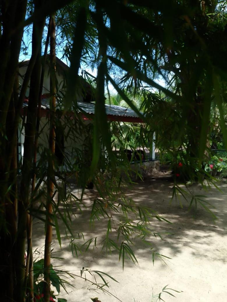 Soma HomeStay&Restaurant Tangalle Bagian luar foto
