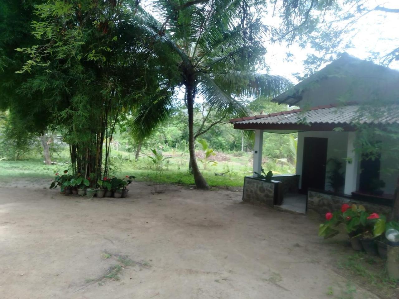 Soma HomeStay&Restaurant Tangalle Bagian luar foto