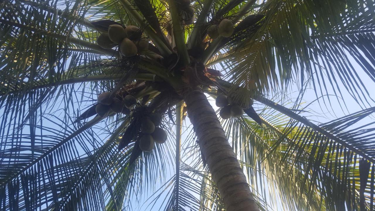 Soma HomeStay&Restaurant Tangalle Bagian luar foto